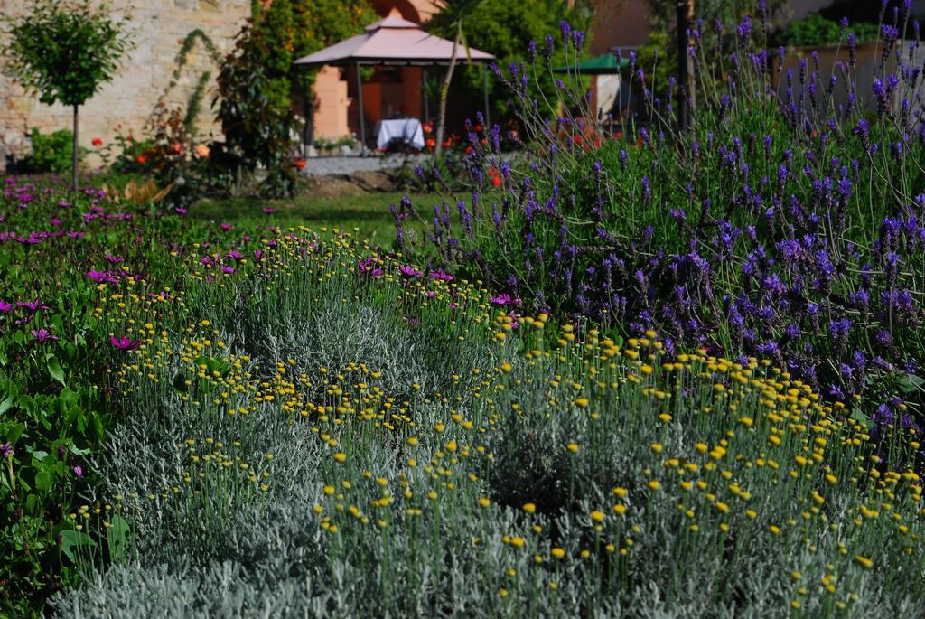 Agriturismo Coppi Rossi Torrazza  Exterior photo