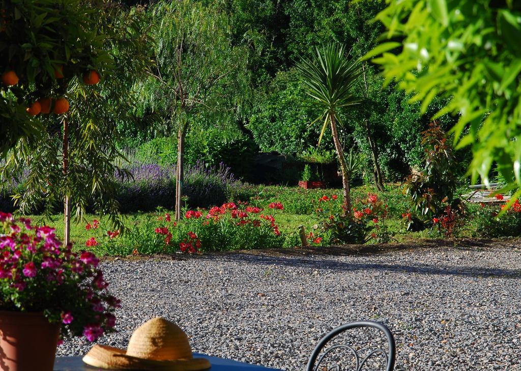 Agriturismo Coppi Rossi Torrazza  Exterior photo